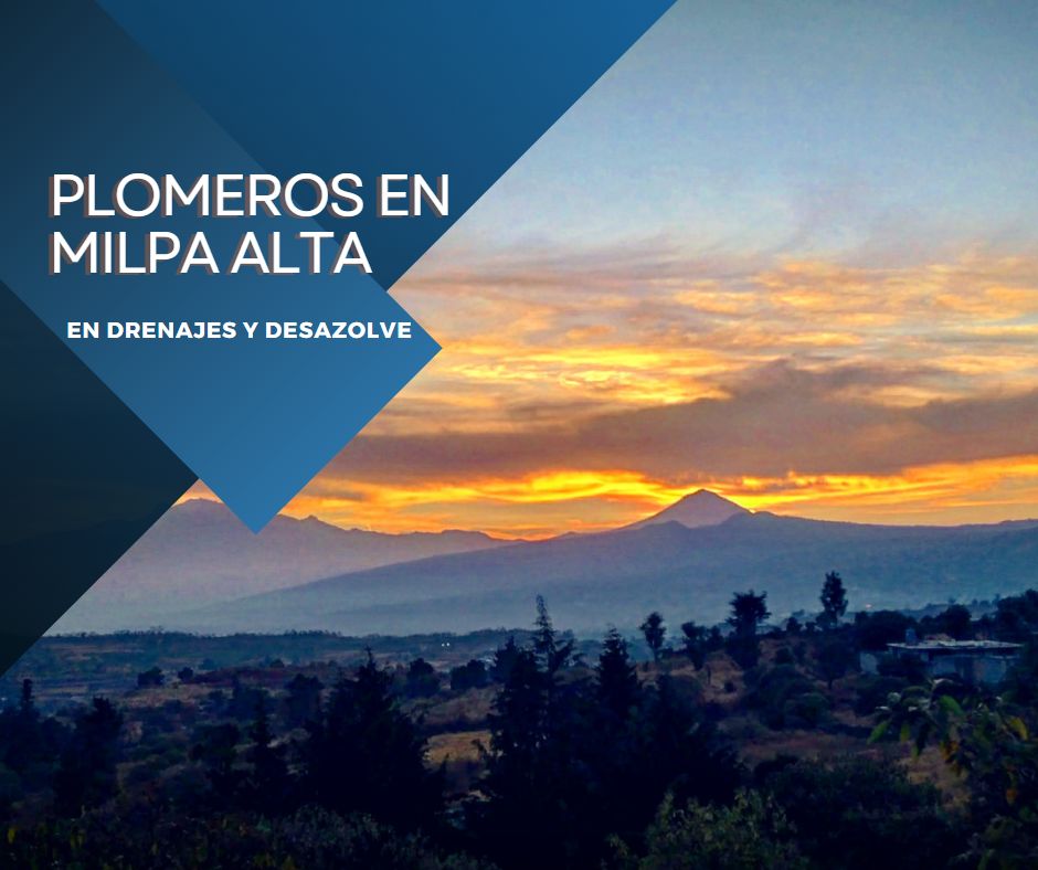 PLOMEROS EN MILPA ALTA