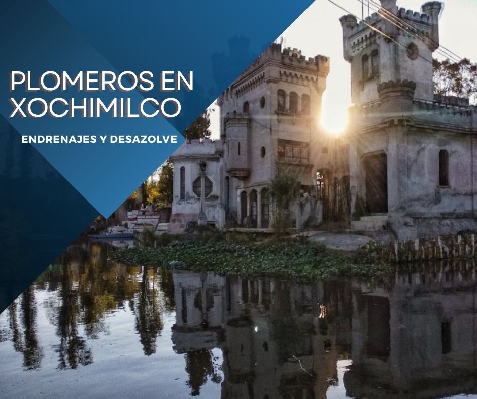 PLOMEROS EN XOCHIMILCO